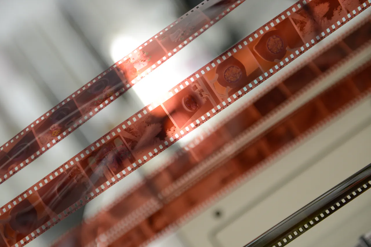 Farbnegative frisch aus der Entwicklung